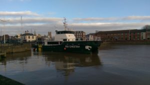 Image of Rix Cheetah